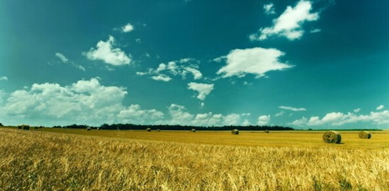 ���_�m�Ҽ���ɭ��������˯�ߡ����C���Сɭ��