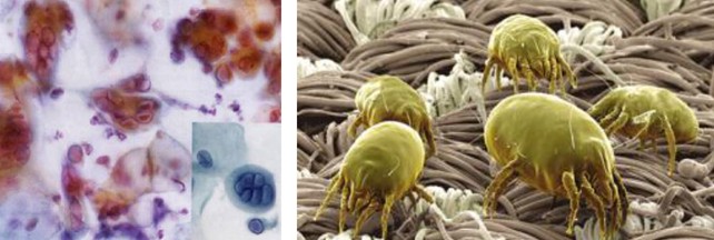 ���_�m���C(j��)�Ҽ������ܽ���˯��