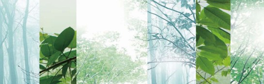 ���_�m���C(j��)�Ҽ����ڰ��Rԭ���B(t��i)ɽ�Ⱥ�ˮ�g-��һ���p��