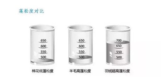 ���t���Ҽ���о��(ji��)�����m��������һ�l��q���_ʼ