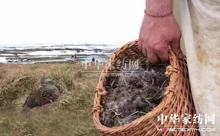 ������27�f�I�²���Ҽ�"����"��"����"��