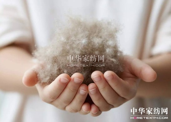 ������27�f�I�²���Ҽ�"����"��"����"��