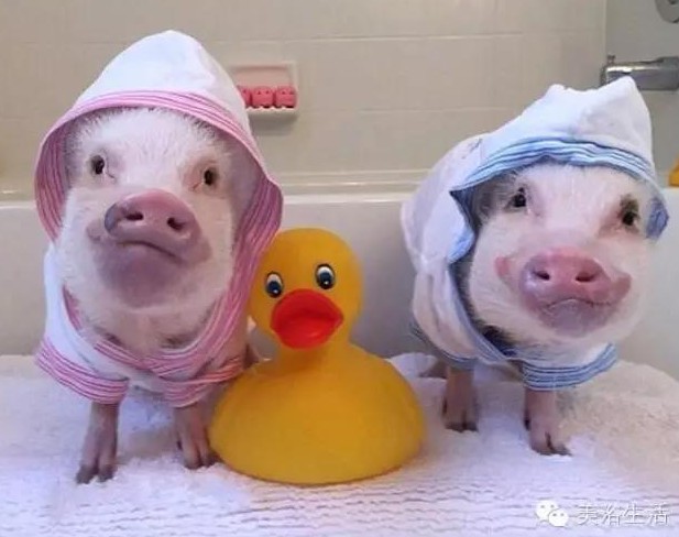 ��ԡ���һ�l��ԡ�����͎��o�㲻�Զ������Ҹ���