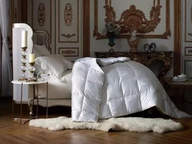 19�f(w��n)8���I(m��i)����Ҽ�����������(d��ng)�ފy��ĺ����Ԇ���