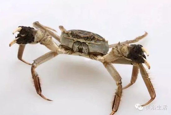 ��ԡ����Â���Ĵ��lз��з�S��ʳ��зȯ������з��������ë����