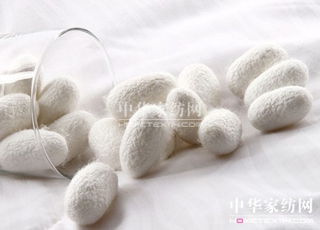 �Q�z���ס������z�Ƽ����B(t��i)�����I�����c����