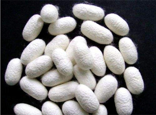 ͬ���ǽz�����W�_���{ʲô���f�������R����