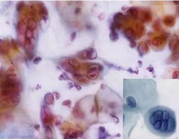 ���ϴ���ӣ��������ךW���M�ھ�ϴ�O���ꑌ�������Ҽ�