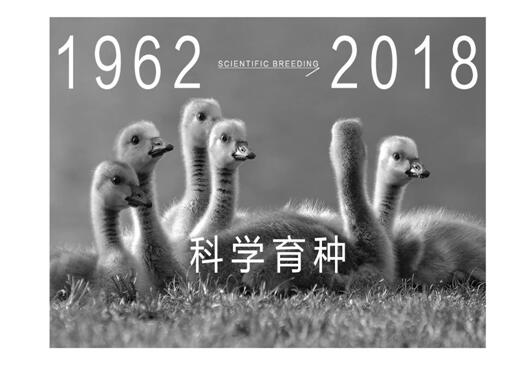 ����Ҽ����m�����q���¾��p��������