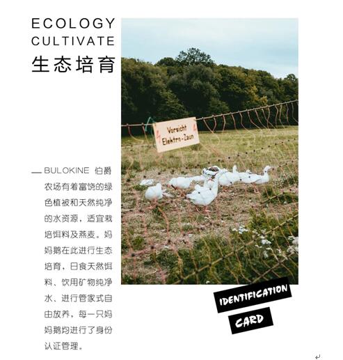 ����Ҽ����m�����q���¾��p��������