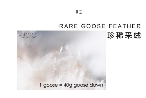 ����Ҽ����m�����q���¾��p��������