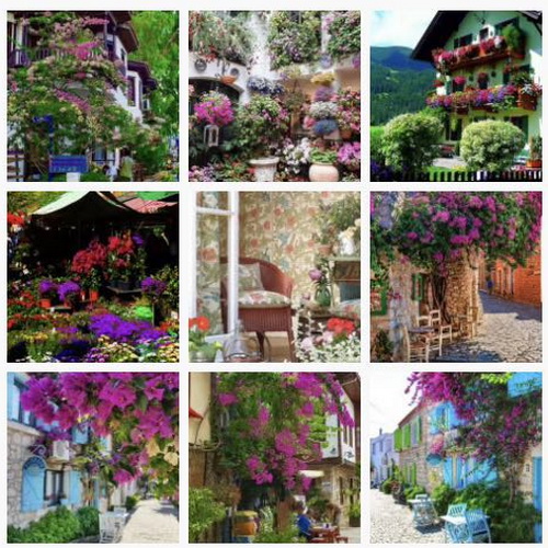 С�[�T��������D(zhu��n)����Ȧ�����cҪ�󲻿��٣�������ƽ