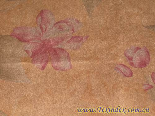 ӡ������Ƥ�q