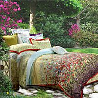 ���S��С�(zh��n)