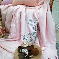 �����w�P(y��ng)