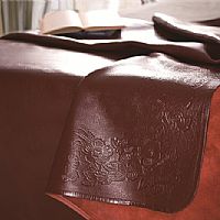 ����һ��ţƤϯ