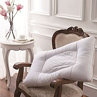 �����w����