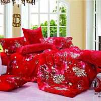 ��(��i)�Z(y��)ʎ��