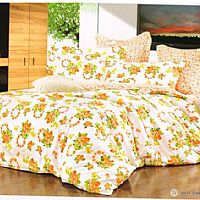 С�~���㣨С����