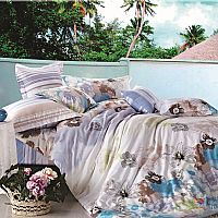 7033���m��60����