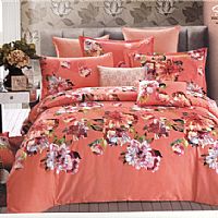 �����L��