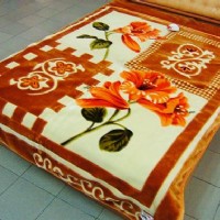 ����(y��u)��(ji��ng)�{�]ë̺