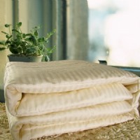 ��Ȼ�Q�z���Ηl��(n��i)đ