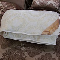 ɺ���q������Ա�