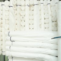 ȫ��ĥë����