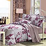 ������Ʒ��(��i)�w�P(y��ng)