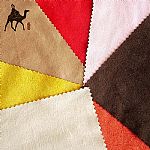 RPET��Ƥ�q�Ҽ�����