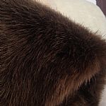 ��ɫ�ߙn����ë����ë�F(xi��n)؛