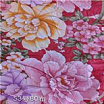 ȫ��Ⱦɫ��ӡ��