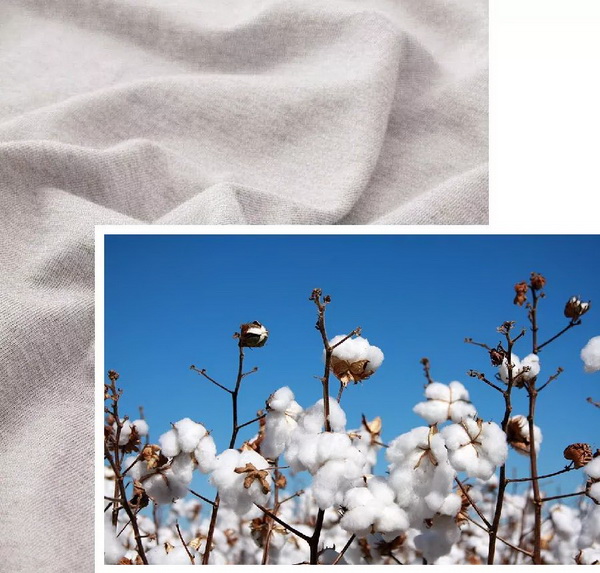 COMOLIVING�Ƴ��~������˯���������ߵ�����ęn