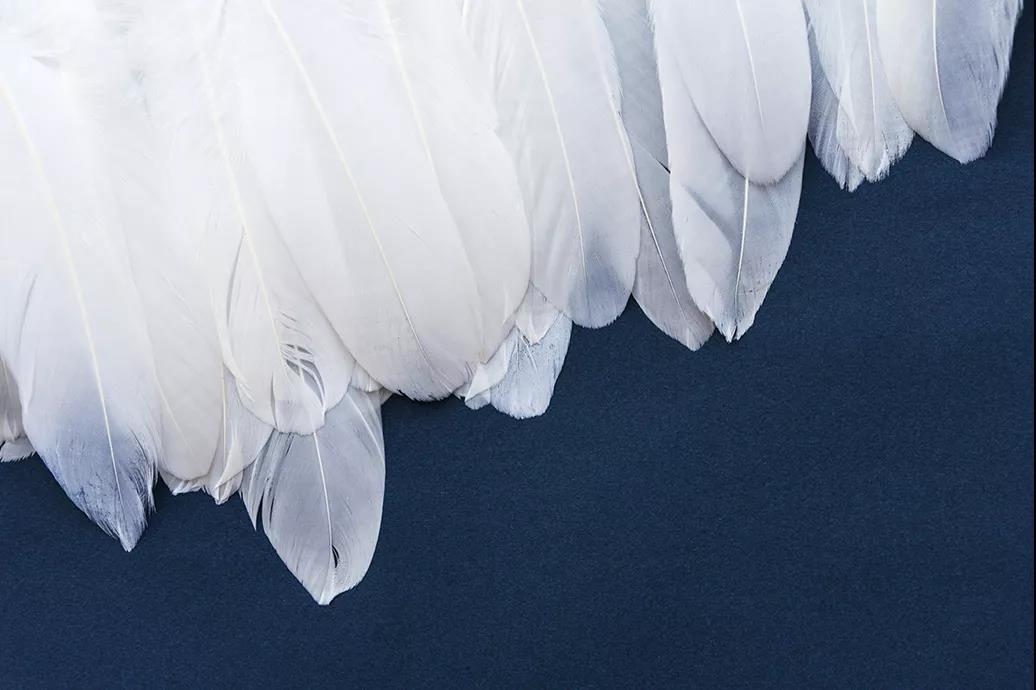 ����Ʒ�Z�q�����˜ʳ��_���쿴�����I�ı����_���˛]��