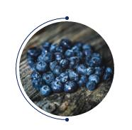 ��̫��Ƴ���Ʒ--2020֮��(j��ng)�䡰�{(l��n)������ϵ��