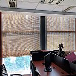 �ɶ������ɶ�����񺟡��ɶ��񺟶����ߴ�