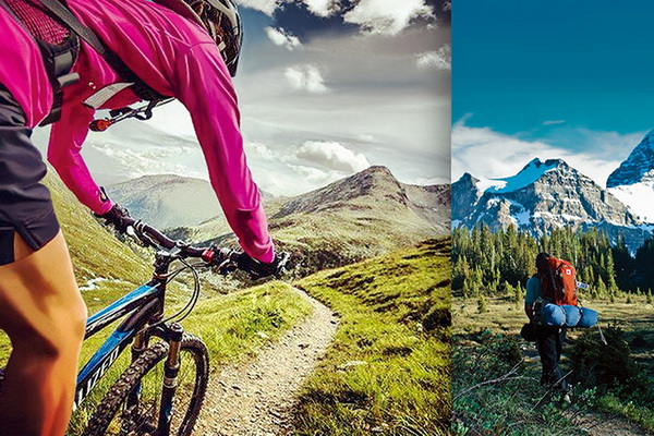 �����w�S���Ƴɹ������ܿ��������؜ر����{(di��o)����������ʲô�W����