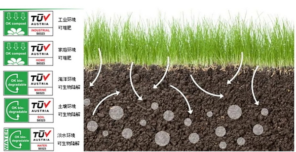 �۽��ɳ��m(x��)�l(f��)չ���c���ṩ��S��Q�������m�����Є���